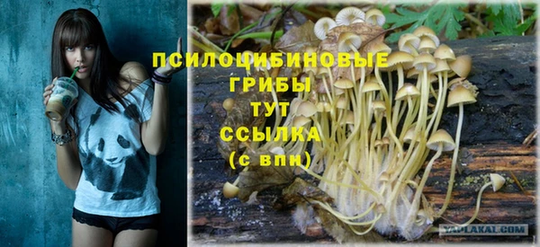 меф Алзамай