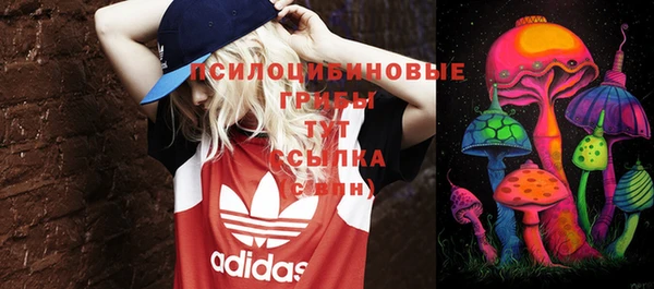 стаф Алексеевка