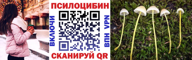 OMG   Котельники  Галлюциногенные грибы Cubensis 
