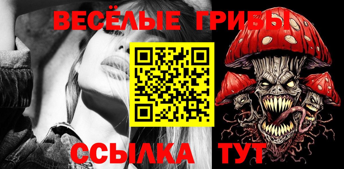 Псилоцибиновые грибы MAGIC MUSHROOMS  Вход с VPN  где купить   Котельники 